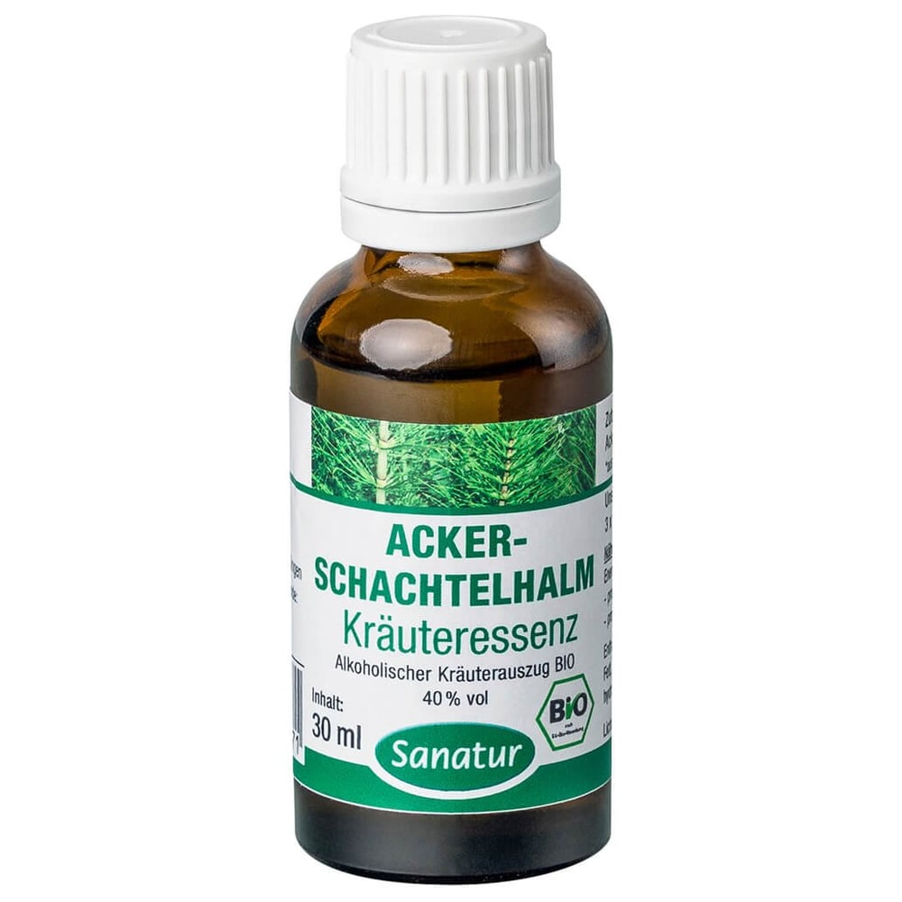 Ackerschachtelhalm Kräuteressenz Bio