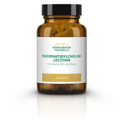Phosphatidylcholin/ Lecithin Phospholipide