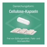 Zink Verla C purKaps