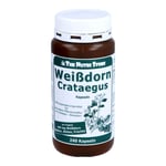 Weissdorn 500 mg
