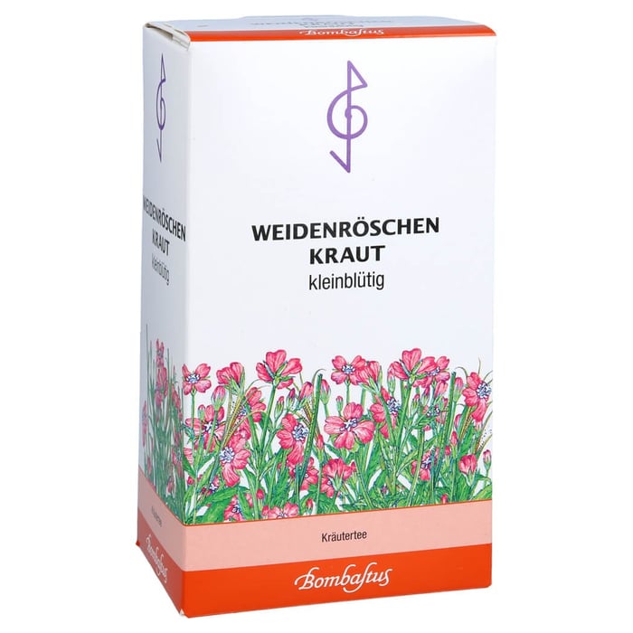 Weidenröschenkraut kleinblütig