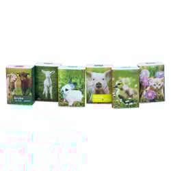 Taschentücher Pocket Tierkinder
