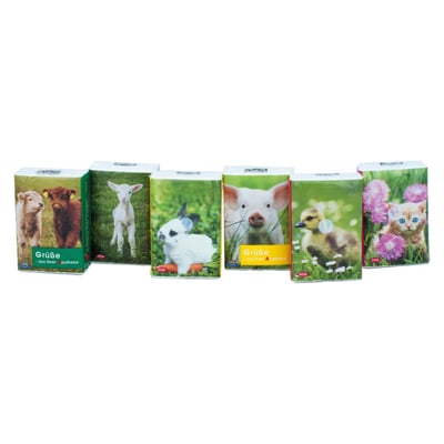 Taschentücher Pocket Tierkinder