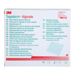 Tegaderm Alginate Kompressen 10x10 cm Produktbild 2