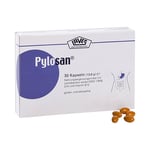 Pylosan Kapseln Produktbild 1