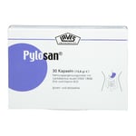 Pylosan Kapseln