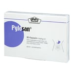 Pylosan Kapseln