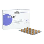 Pylosan Kapseln