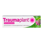 Traumaplant Schmerzcreme Produktbild 2