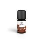 Baldini BioAroma Anis Bio Produktbild 1