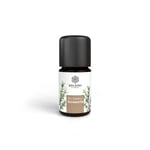 Baldini Bioaroma Rosmarin Produktbild 1