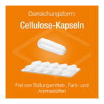 Vitamin D Verla purKaps