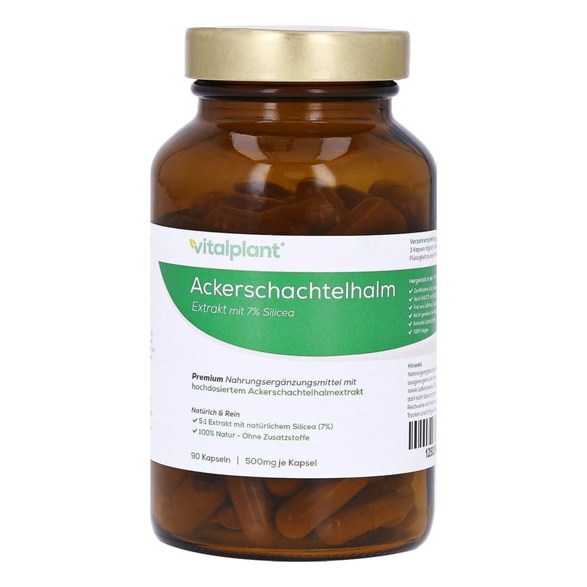 Ackerschachtelhalm 500MG Extrakt Vitalplant
