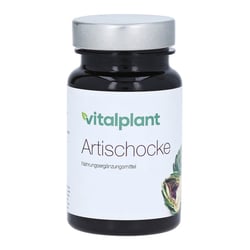 Artischocke 500mg Extrakt