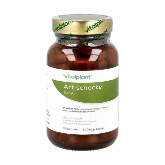 Artischocke 500MG Extrakt Vitalplant