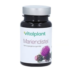 Mariendistel 300 Mg Extrakt