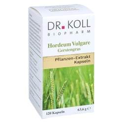 Gerstengras - Hordeum Vulgare