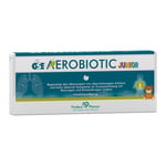 Gse Aerobiotic Junior Einm. Ampullen f. Vern. Inhal.-Lösung Produktbild 1