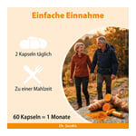 Dr. Jacob's Curcumin-Phospholipid aus Kurkuma-Extrakt Produktbild 3