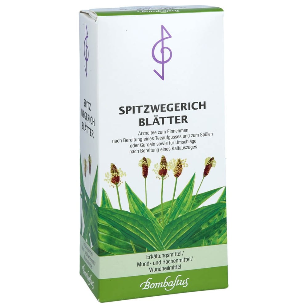Spitzwegerichblätter