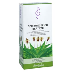 Spitzwegerichblätter