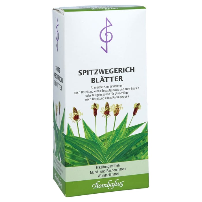 Spitzwegerichblätter