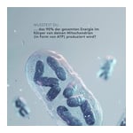 Mitochondrien Formula Sport Produktbild 7