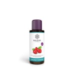 Baldini Hagebuttenkern Bio Massageöl Produktbild 1
