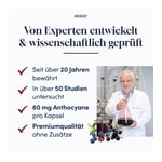 Medox Anthocyane aus wilden Beeren