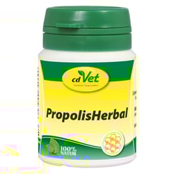 Propolis Herbal Pulver vet.