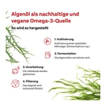 Doppelherz Omega-3 Pflanzlich system