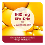 omega3-Loges plus
