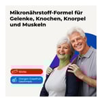 GELENKNAHRUNG+Hyaluronsäure Trinkgranulat