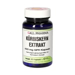 Kuerbiskern Extr 450 mg Gph Produktbild 1