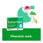 Esberitox Produktbild 2
