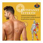 Bienengift Salbe API REGENT die Echte