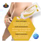 Bienengift Salbe API REGENT die Echte