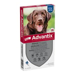 ADVAntiX Spot-on Hund 25-40 kg Produktbild 1