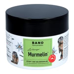 Murmelin Arlberger Murmeltiersalbe Produktbild 1