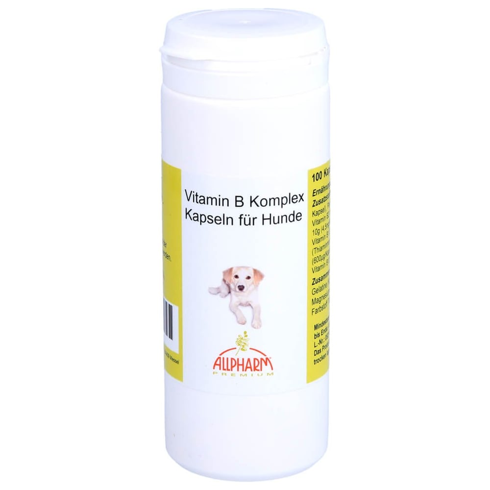 Vitamin B Komplex für Hunde