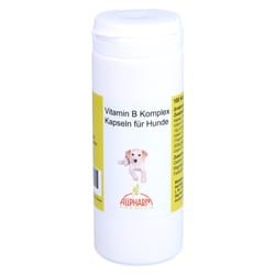 Vitamin B Komplex für Hunde