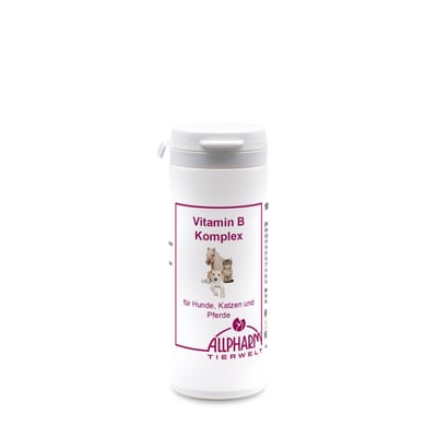 Vitamin B Komplex für Hunde