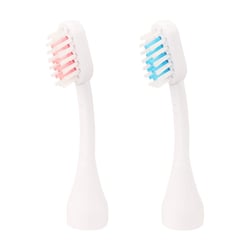 EMMI-DENT Ultraschall 4.0 bürstenkopf Erwachsene