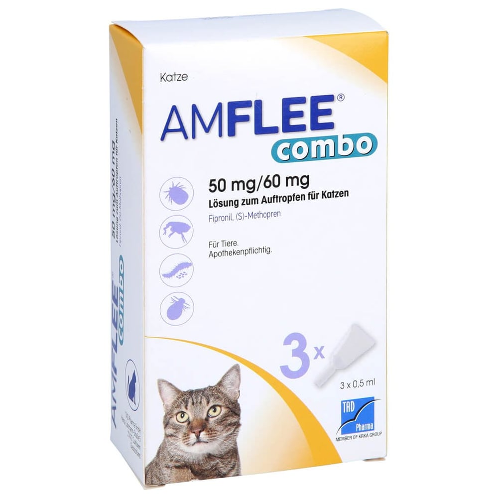 Amflee Combo Katze