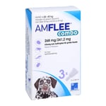 Amflee combo 268/241,2 mg Hunde 20-40 kg