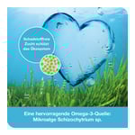 omega3-Loges pflanzlich