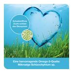 omega3-Loges pflanzlich