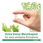 omega3-Loges pflanzlich Produktbild 10