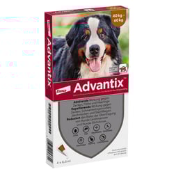 ADVAntiX Spot-on Hund 40-60 kg