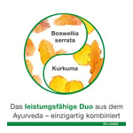 curcumin-Loges plus Boswellia Produktbild 7